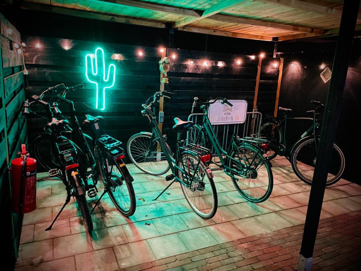 Flamingo Studio'S Zeeland Schoondijke Buitenkant foto