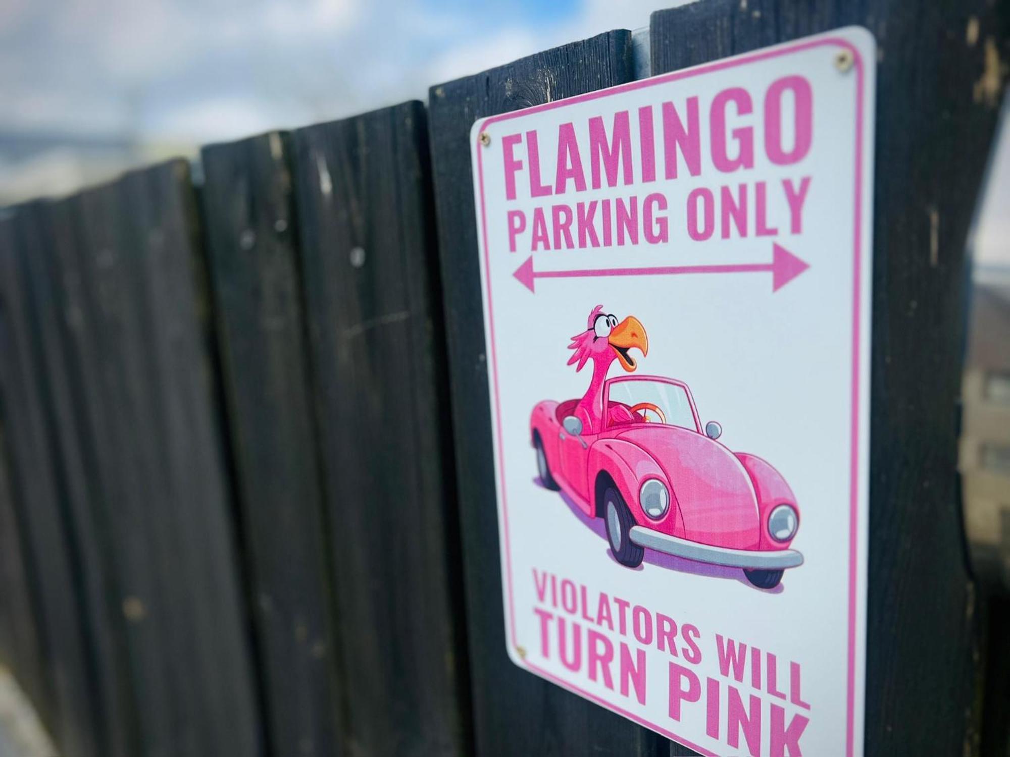 Flamingo Studio'S Zeeland Schoondijke Buitenkant foto